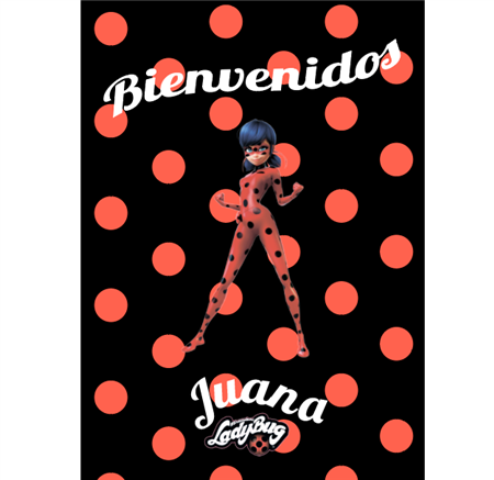Afiche Pers. Miraculous Ladybug
